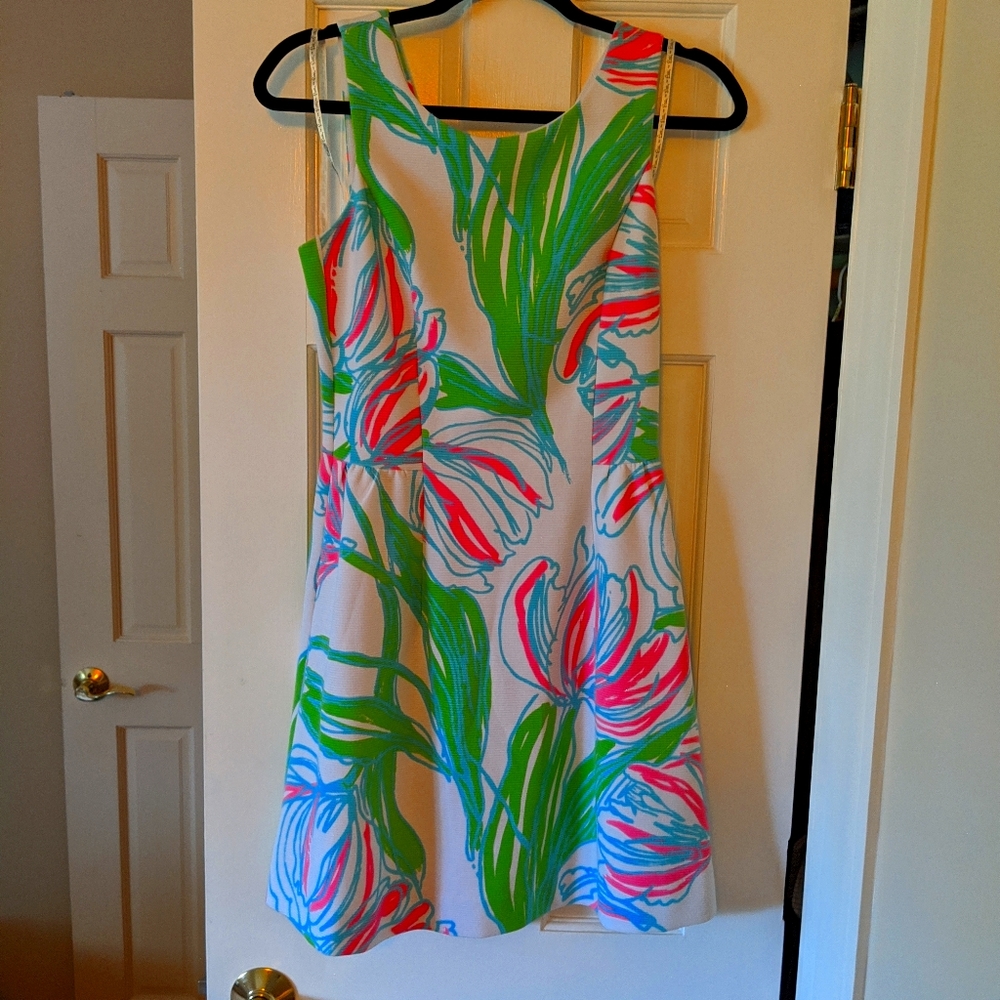 Lily Pulitzer Tulip Print Dress